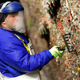 Image for article titled Seattle's Famous Gum Wall Is Being Scrubbed Away to Bare Brick